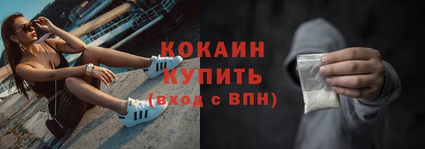 твердый Кулебаки