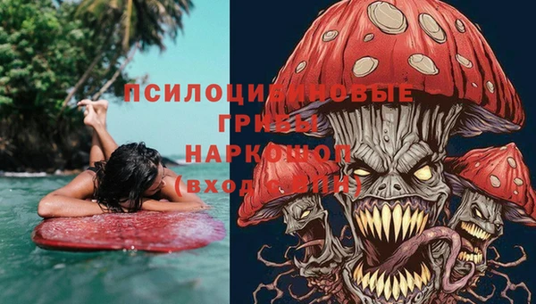 твердый Кулебаки