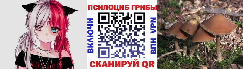 Псилоцибиновые грибы Cubensis  маркетплейс формула  Медвежьегорск 